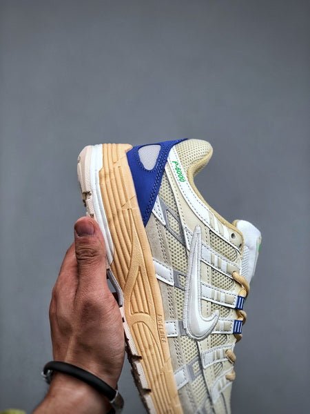 NIKE P - 6000 - Houdini