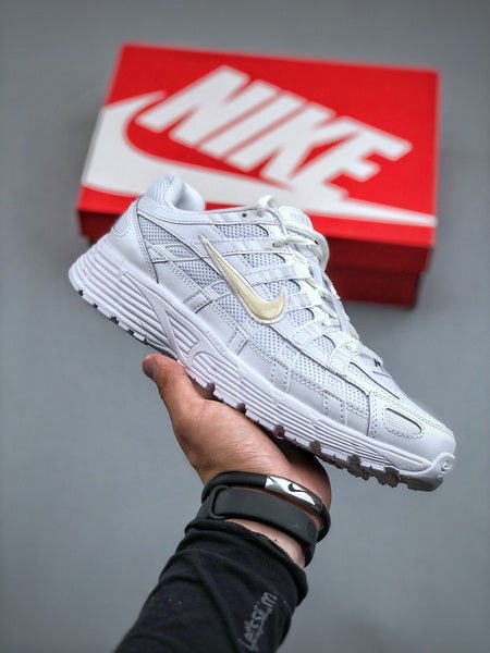 NIKE P - 6000 - Houdini