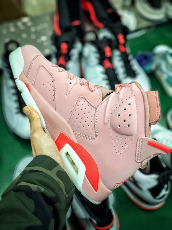 Jordan 6 X Aleali May