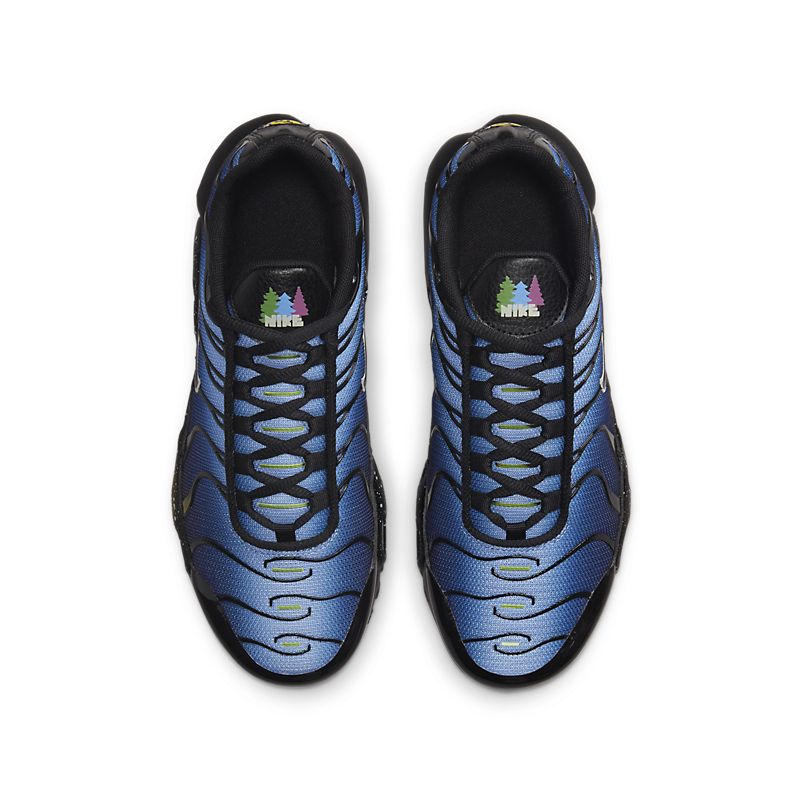 Nike Air Max Plus Blue Black