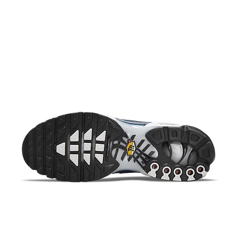 Air Max Plus 'Shattered Ice - Midnight Navy'