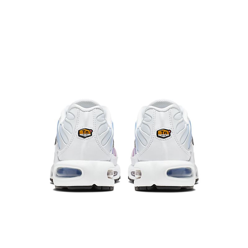 Nike Air Max Plus TN Summer Gradient