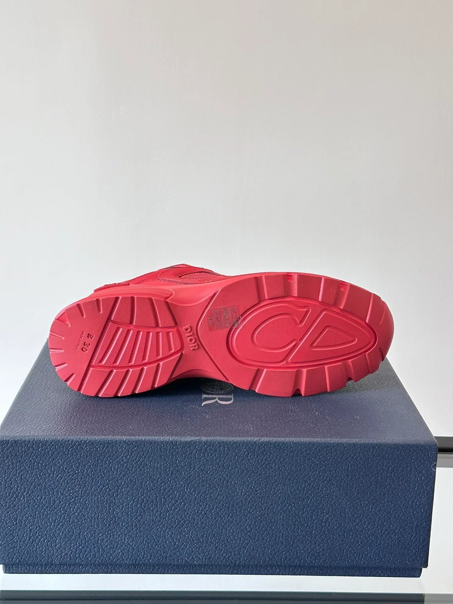 STONE ISLAND x DIOR B30 RED