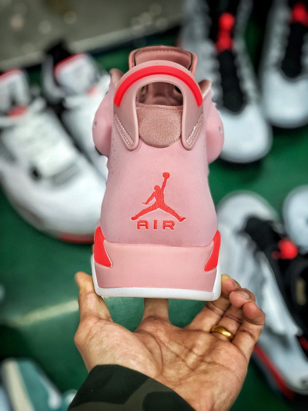 Jordan 6 X Aleali May