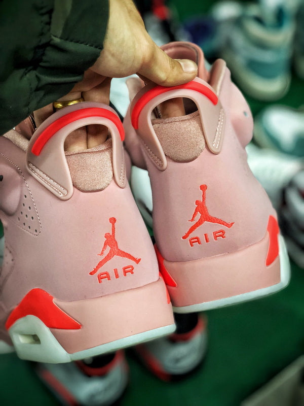 Jordan 6 X Aleali May