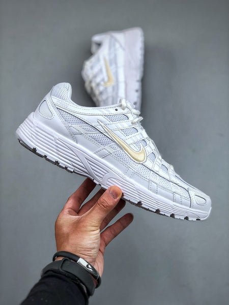 NIKE P - 6000 - Houdini