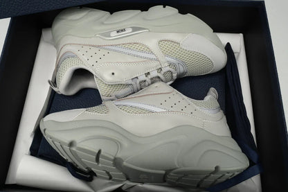 DIOR B22 GREY