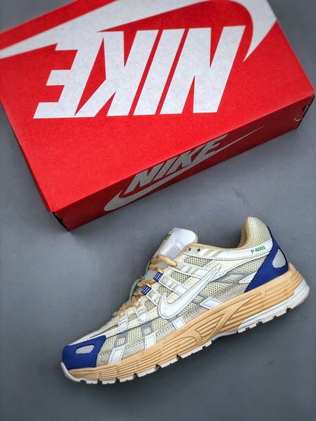 NIKE P - 6000 - Houdini