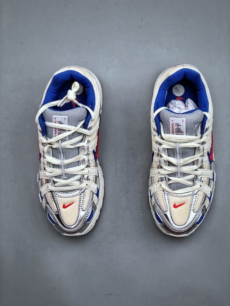 NIKE P - 6000 - Houdini